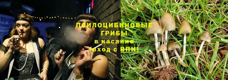 Галлюциногенные грибы MAGIC MUSHROOMS  Мурино 